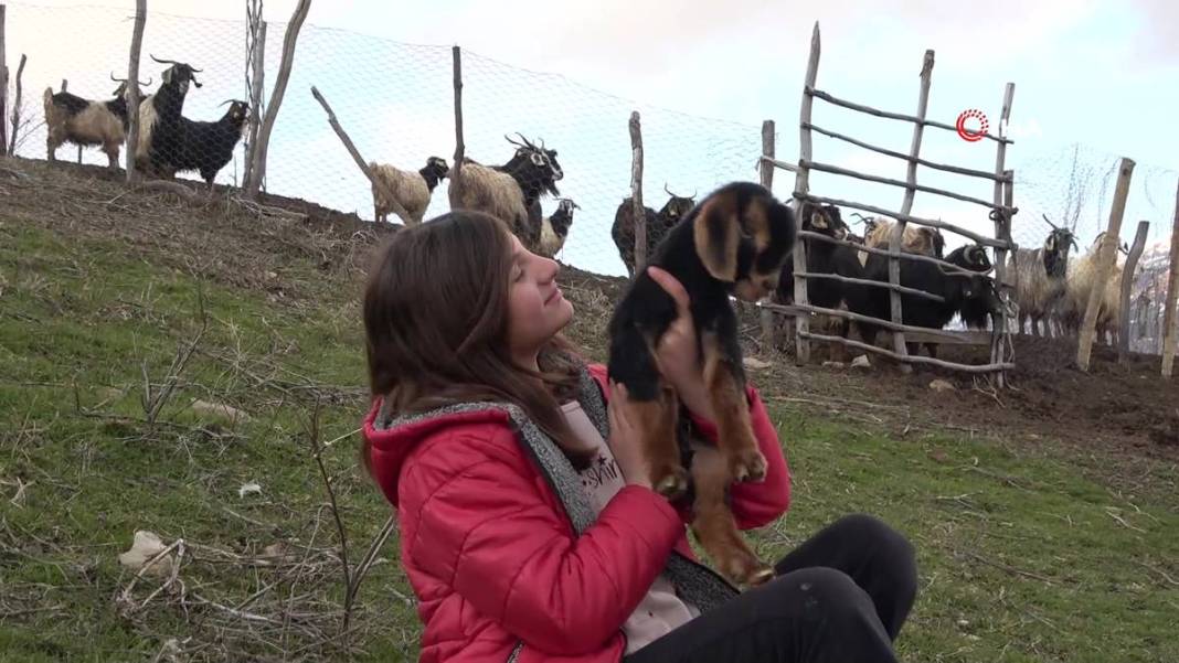 Görenler gözlerine inanamıyor: Tam 3 adet...! Görmek için civar köylerden geliyorlar 22